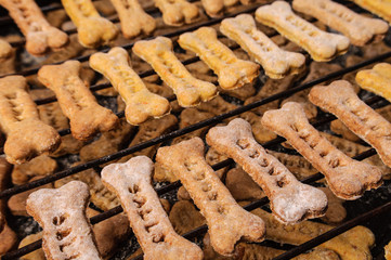 Homemade oatmeal dog treats with carrots on black