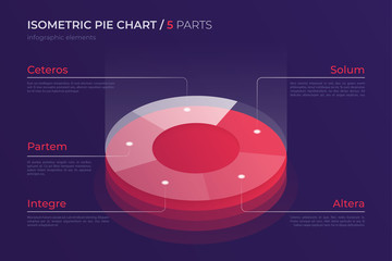 Vector isometric pie chart design, modern template for creating 