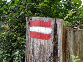 Paint mark on wood on a hiking trail