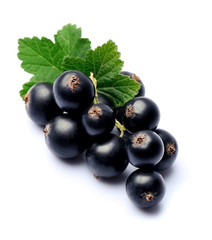 Sweet berries of currants.