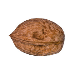 walnuts isolated on white background