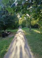 Закат в парке.