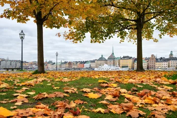 Fotobehang Cityscape of Gamla Stan in Stockholm, Sweden, in autumn. © ianachyrva