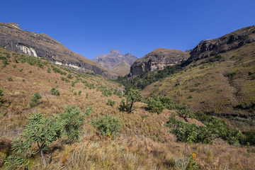 Fototapeta na wymiar Drakensberg mountains in South Africa