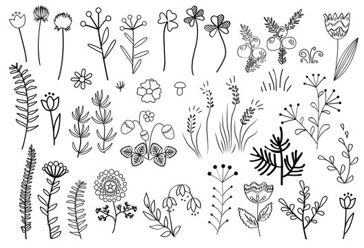 Floral graphic elements