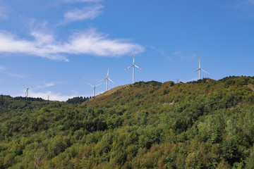 pale eoliche
