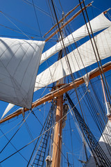 Sails Up