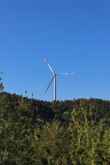 Pale eoliche
