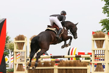 Reiter und Pferd beim Springreitturnier