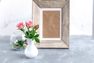 roses on white background
