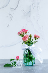roses on white background