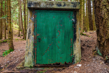 The green, rotten door in the woods