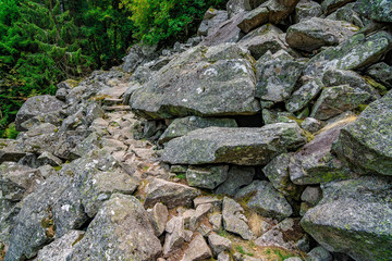 The stony path in the woods