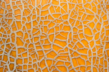 Close-up of  Melon Peel.