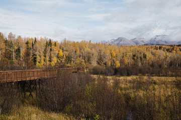 Fall colors at Potter Marsh Wildlife Viewing Boardwalk in Alaska