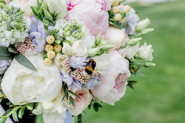Beautiful wedding bouquet of peonies on the background of grass