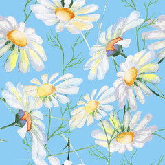 Stylized Daisies flowers illustration. watercolor - 222530901