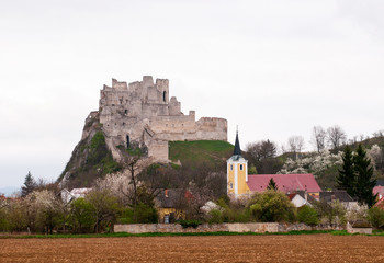 Fototapeta na wymiar Castle Beckov in Slovakia
