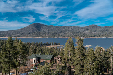 Fototapeta premium Big Bear