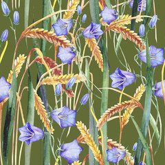 wild flowers and ears of wheat on a summer meadow. pattern. Watercolor.
- 222531331