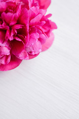 Stunning beauty of bright peonies on a light wooden background