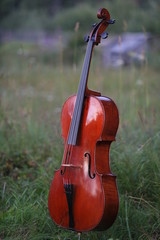 cello