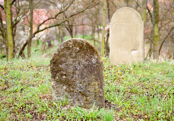 Old tombstone in jewish cemetery