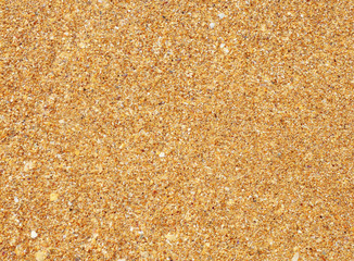 a shot from a sand and melih shells, can be use as background