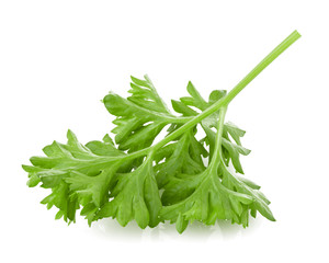 parsley isolated on white background, full depth of field