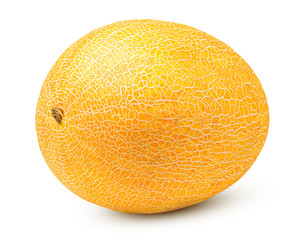 melon isolated on white background, clipping path, full depth of field