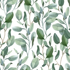 Foto op Plexiglas Aquarel bladerprint Naadloos patroon van groene eucalyptusbladeren op witte achtergrond