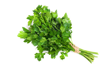 A bunch of parsley bandaged with a rope with a bow