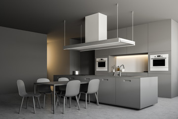 Gray modern kitchen interior with long table