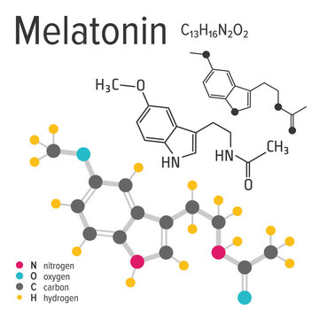 Chemical formula, structure and model of the melatonin molecule, vector illustration