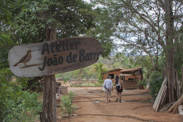 Trilha