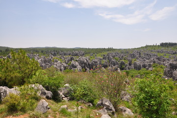 Stone Forest. Shilin Park, China.
