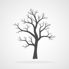 Obraz premium Tree icon. Vector illustration.