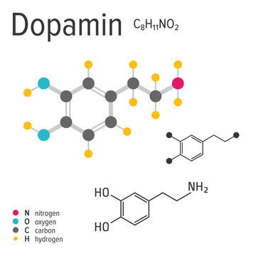Chemical formula, structure and model of the dopamin molecule, vector illustration