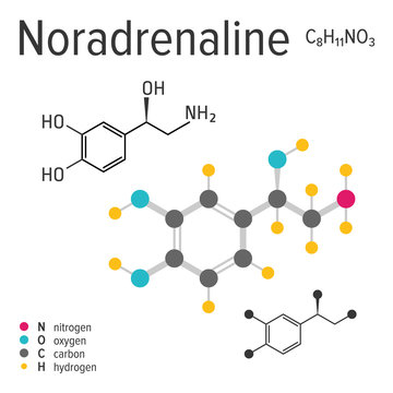 Chemical formula, structure and model of the noradrenaline molecule, vector illustration