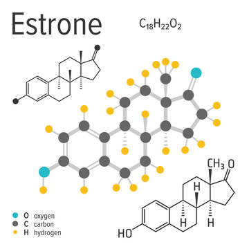 Chemical formula, structure and model of the estrone molecule, vector illustration