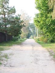 Country road in the summer
