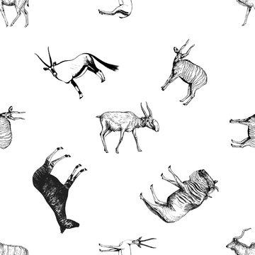 Seamless pattern of hand drawn sketch style ungulates isolated on white background. Vector illustration.