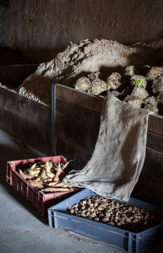 potager et cuisine