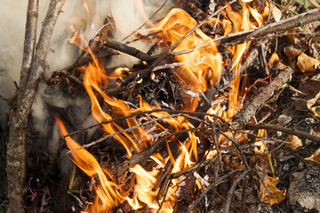 Inflaming the fire. Fire. The fire in the forest. Burning branches