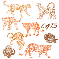 Set of hand drawn sketch style leopards isolated on white background. Vector illustration.