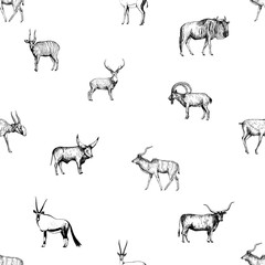 Seamless pattern of hand drawn sketch style ungulates isolated on white background. Vector illustration.
