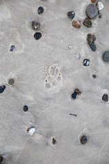 Spuren im Sand