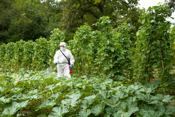 Man spraying