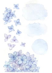 Deurstickers hydrangea watercolor set © Tatiana 