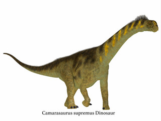 Camarasaurus Dinosaur Side Profile with Font